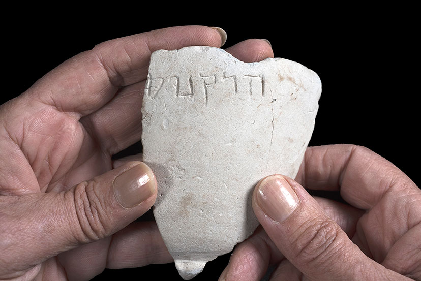 קערת הרקנוס