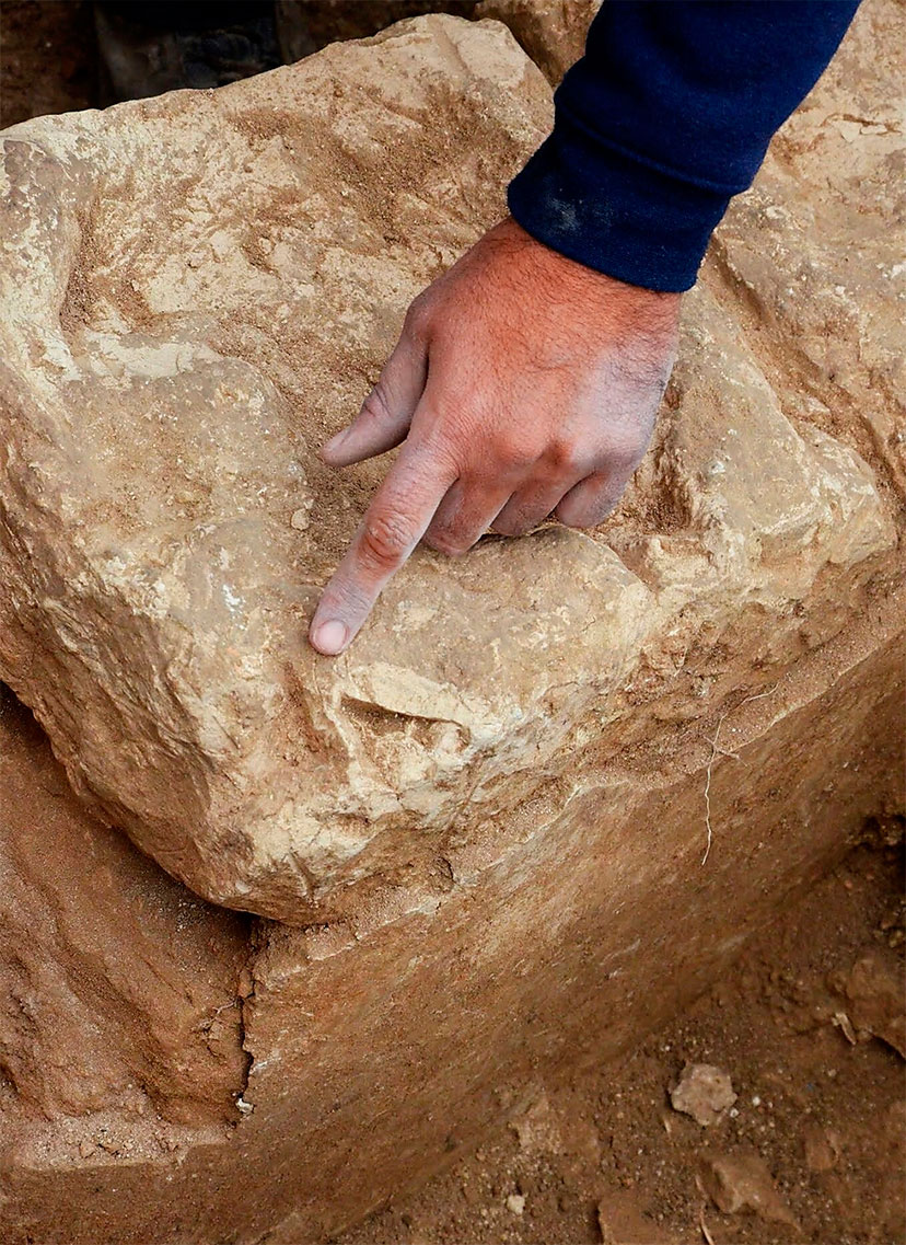  המזבח שקרניו נקטמו במכוון (צילום: יולי שוורץ, רשות העתיקות)