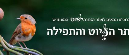הזמנה לפיוט