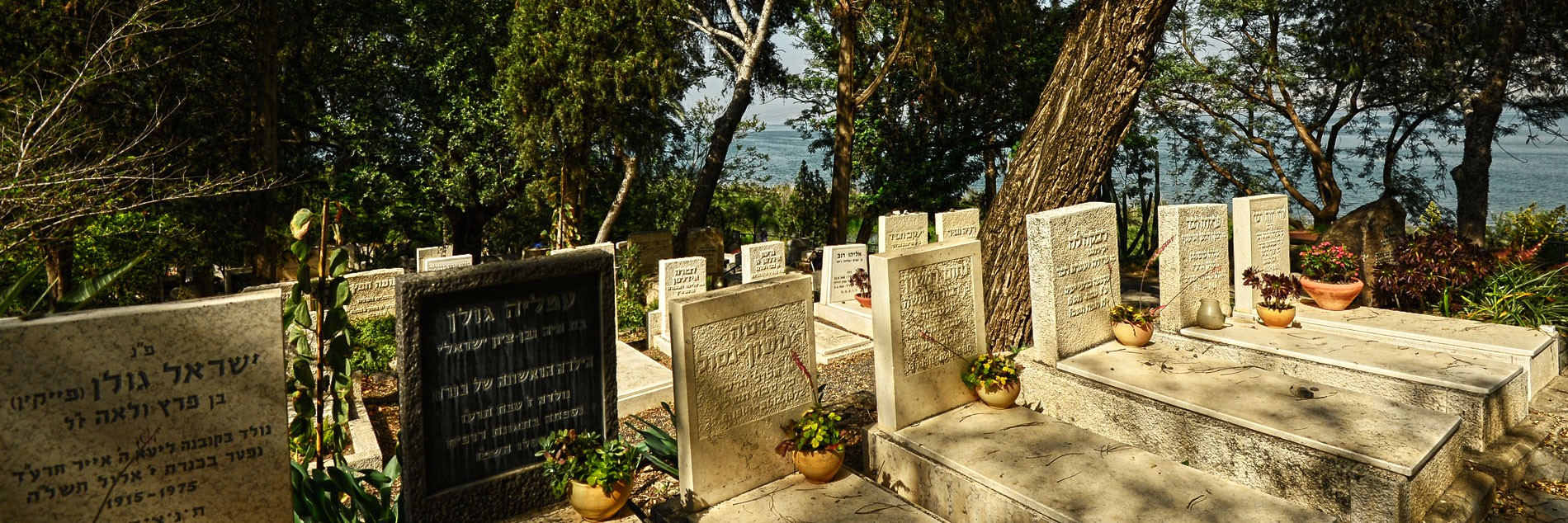 בית העלמין כינרת 