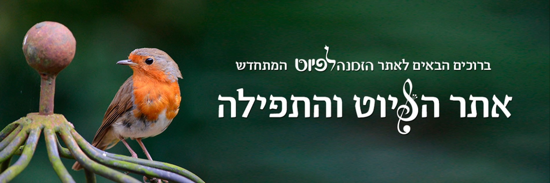 הזמנה לפיוט