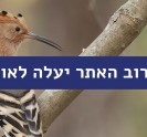 נס גדול יהיה פה